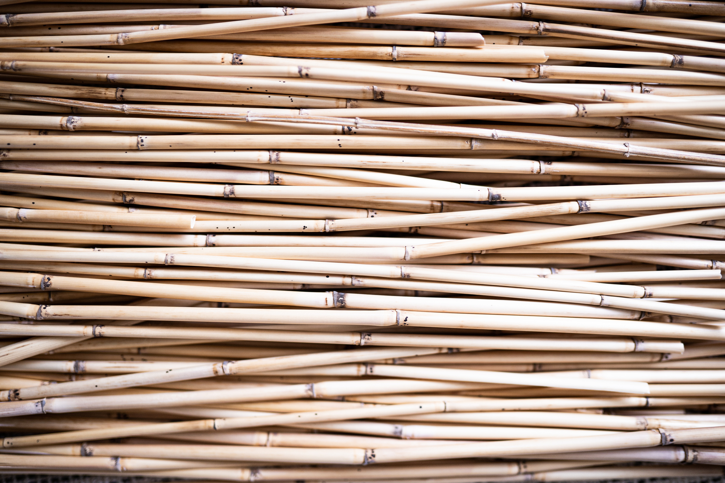 a Pile of Wooden Sticks 